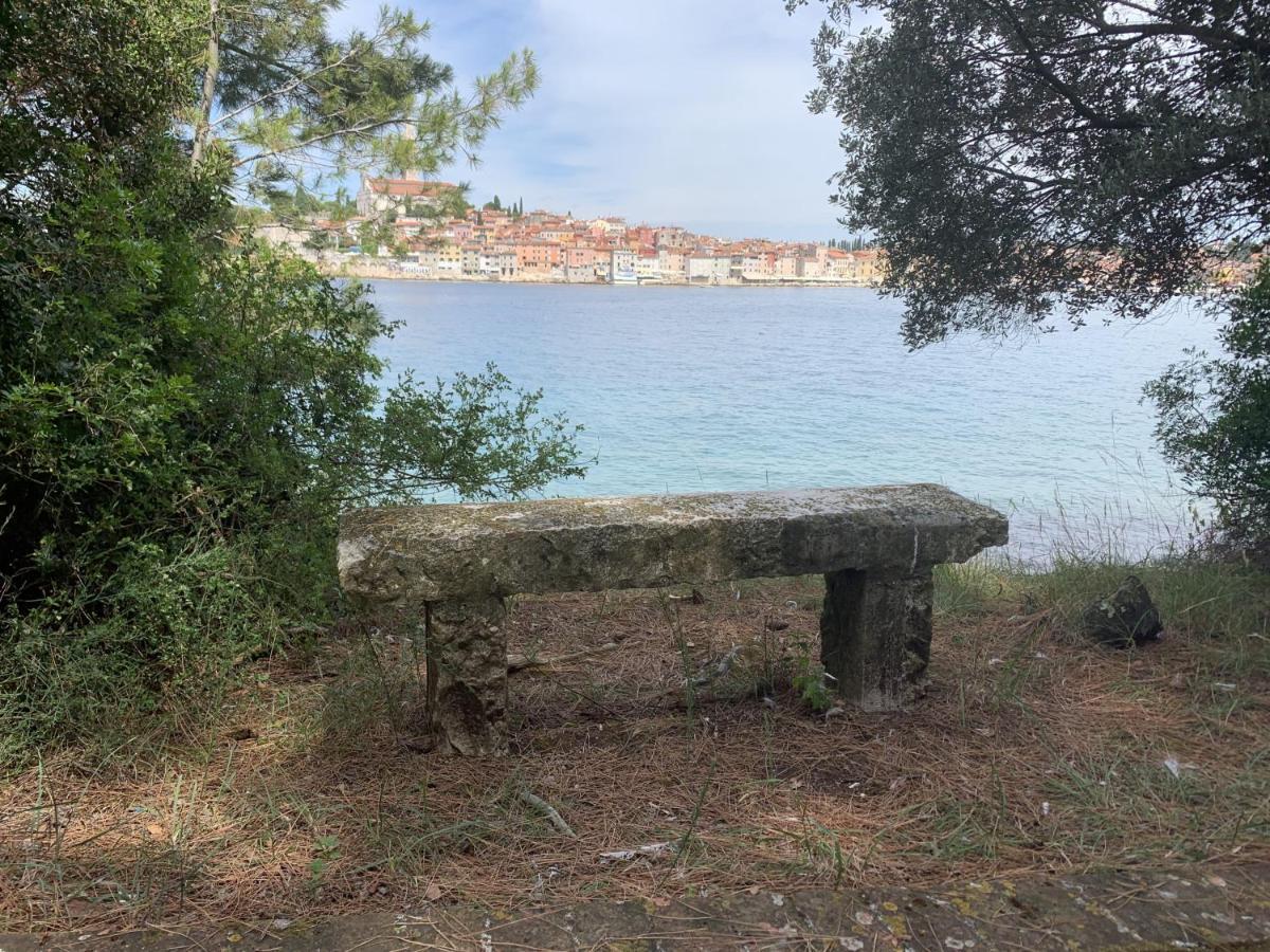 "Art House" Rovinj-Holiday, Holiday Home To Rent Rovinjsko Selo Εξωτερικό φωτογραφία